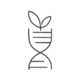 Plant Extracts (1)